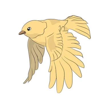 Bird in flight, color vector, Illustrazione stock