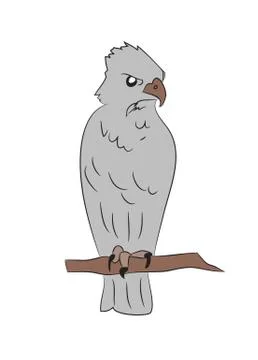 Bird in flight, color vector, Stock Illustration