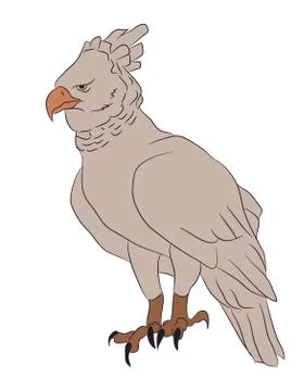 Bird in flight, color vector, Stock Illustration