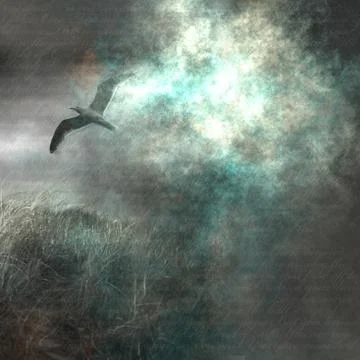 Bird in flight Stock Illustration