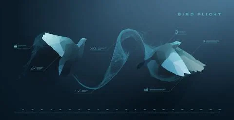 Bird flight Stock Illustration