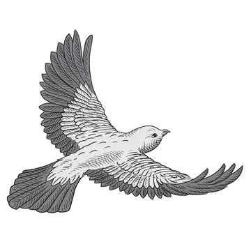 Bird in flight Stock Illustration