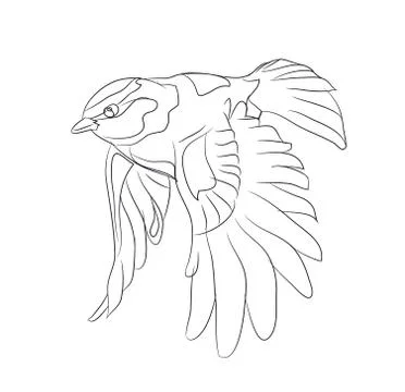 Bird in flight, lines, vector Stock Illustration