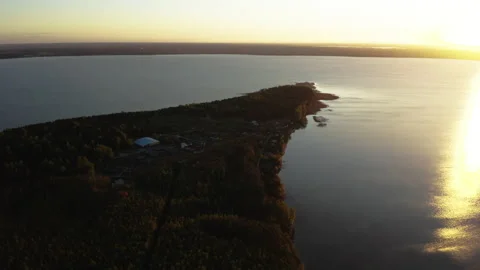 Bird flight over the lake Stock Footage 205212080