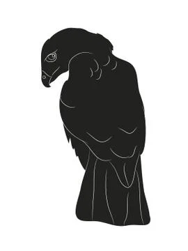 Bird in flight, silhouette, vector Illustrazione stock