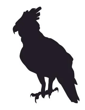 Bird in flight, silhouette, vector Stock Illustration