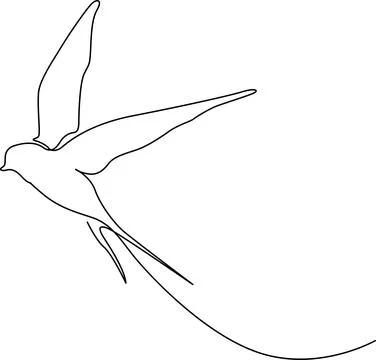 Bird in flight Vector イラスト素材