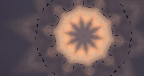 Bird Flock crows Sun Star Kaleidoscope Stock Footage 98615590