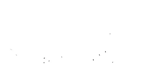 Bird flock flying animation against white background Stock Footage 329053533