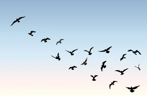 Bird flock flying over blue sky background. Animal wildlife. Illustrazione stock