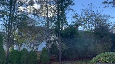 Bird flock Vídeos de archivo 245490414