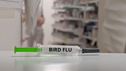 BIRD FLU infection prevention and vaccination concept for avian influenza Stock Footage 342073210