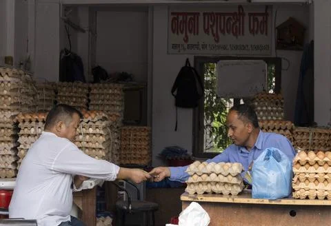 Bird flu outbreak disrupts egg and chicken market in Kathmandu, Nepal - 26 Jun 2 Stock Photos