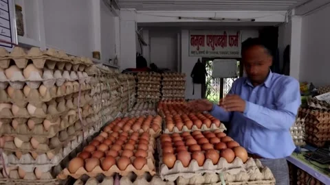 Bird flu outbreak weighs on Nepal's egg and poultry market, Nepal, NP - 26 Jun 2 Stockbeeldmateriaal 337699182