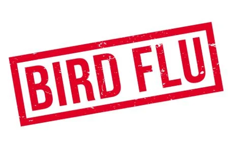 Bird Flu rubber stamp Stock Illustration