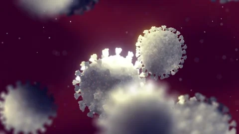 Bird flu viruses Video stock 333636614