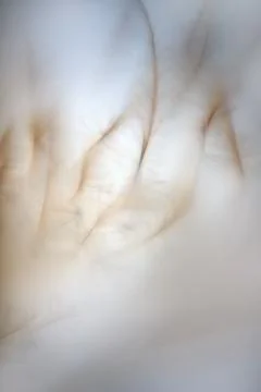 Bird fluff close up. Feather texture. Macro photography view. Foto stock