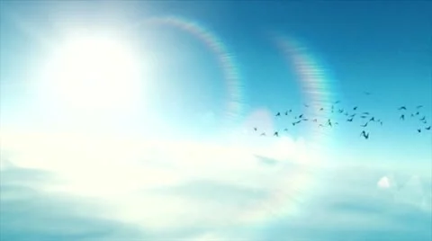 Bird fly 2 Stock Footage 15058248