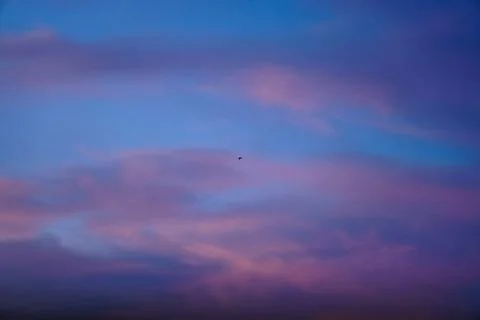 Bird fly at the evening sky with clouds at sunset in the beginning of the n.. Stock Photos