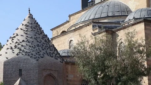 Bird fly in the mosque, Konya Stock Footage 108448684