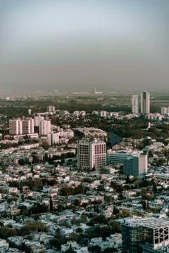 Bird fly view on sunset tel aviv modern city in Israel Stock Photos