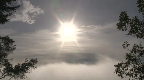 Bird Flying Above The Clouds Stock Footage 44821057