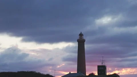 A bird flying across sky and lighthouse Stock Footage 231128720
