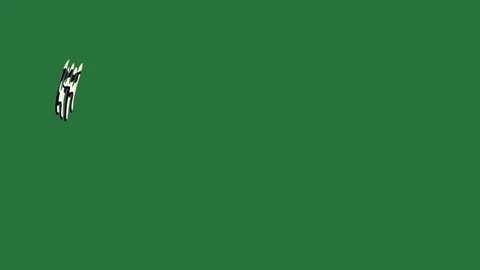 Bird Flying With Air On Green Screen Chroma Key Background Stock Footage 338011944