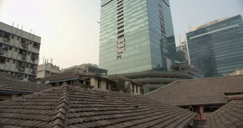Bird flying in and out of frame Stock Footage 130341146