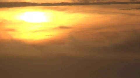 Bird Flying and Sunset Cloudy Sky Stock Footage 38667702