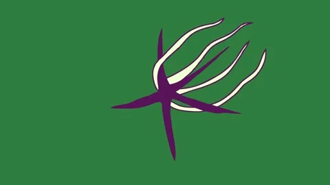 Bird Flying With Arrow On Green Screen Chroma Key Background Stock-Footage 338017907