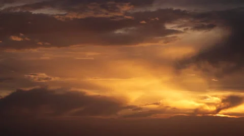 Bird flying between the golden clouds of coming storm Stock Footage 26000061