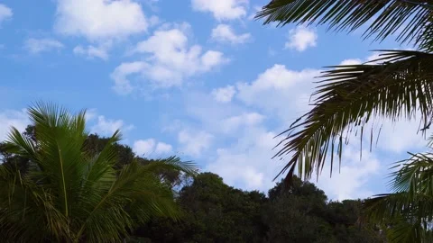 Bird flying between mountains Stock Footage 144420270