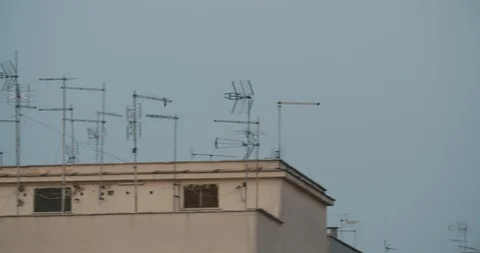 Bird flying on the blue sky through antenna satellite 7 Stock Footage 127577522
