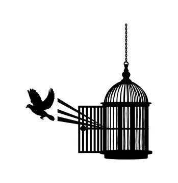 Bird flying from a cage Stock Illustration