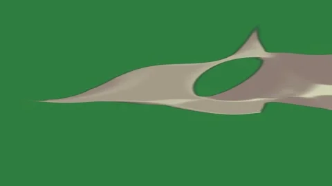 Bird Flying On Chroma Key For Compositing Vidéo 338017204