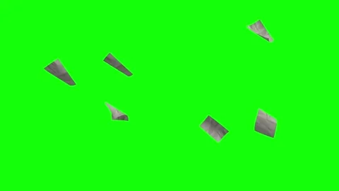 Bird Flying on Chroma Key for Compositing Stock Footage 345498490