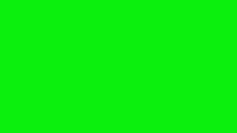 Bird Flying - Chroma Key Green Screen Footage Stock Footage 337996914