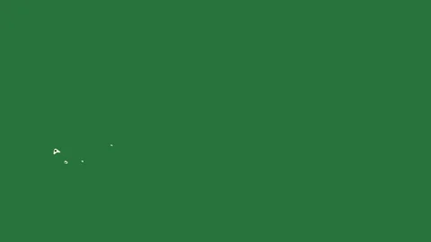 Bird Flying - Chroma Key Green Screen Footage Stock Footage 338011727