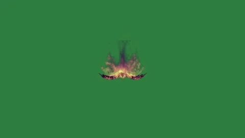 Bird Flying - Chroma Key Green Screen Footage Stock Footage 338016447