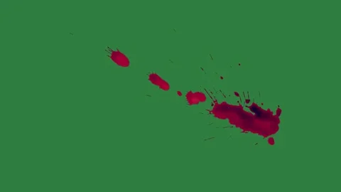 Bird Flying - Chroma Key Green Screen Footage Stock Footage 338018045