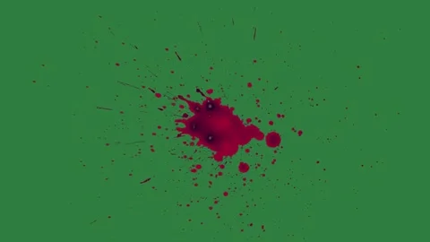 Bird Flying - Chroma Key Green Screen Footage Vidéo 338018073