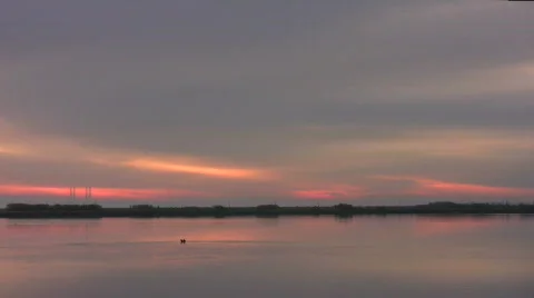 Bird flying close to the water surface Video stock 544728