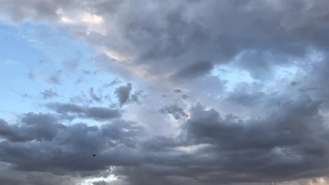 Bird Flying in Cloudy Sky Stock Footage 120763415