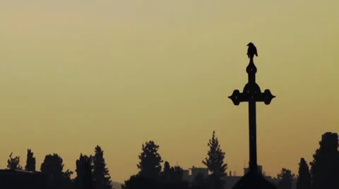 Bird flying off cross in Jerusalem. Stock Footage 10936506