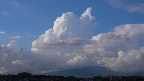 A bird flying from far coming closer and closer and then 2 more birds come Stock Footage 258534576