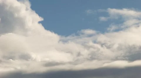 Bird flying up Vidéo 43076275