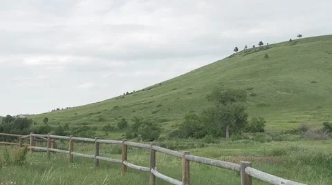 Bird Flying Stock Footage 51717865