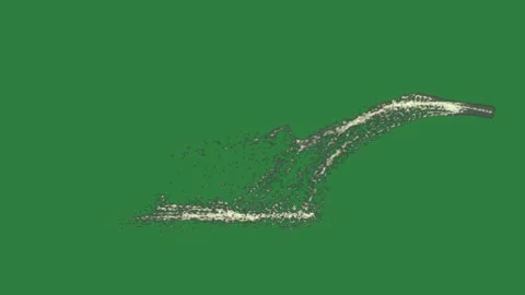 Bird Flying On Green Screen Chroma Key Background Stock Footage 338016607