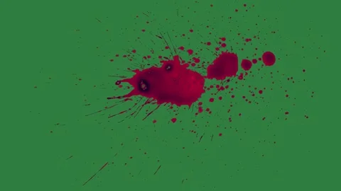 Bird Flying On Green Screen Chroma Key Background Stock Footage 338018307